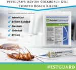 Advion Cockroach Gel – 2 Units AED 80 (11% OFF), Best Roach Killer Solution, Pest Control American, German for Out Door and Indoor Use