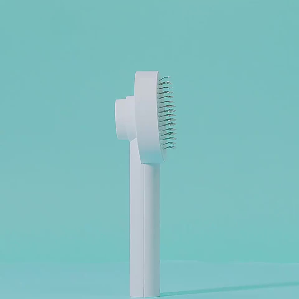 Load video: beat hair remover comb for pet